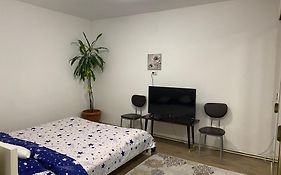 Ardelean Apartment