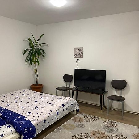 Ardelean Apartment Oradea Exterior foto