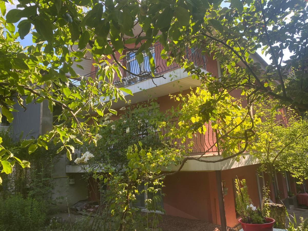 Ardelean Apartment Oradea Exterior foto