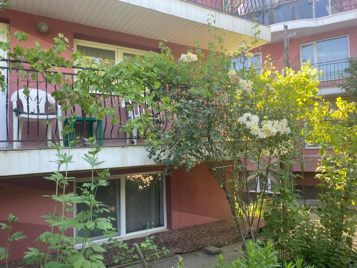Ardelean Apartment Oradea Exterior foto